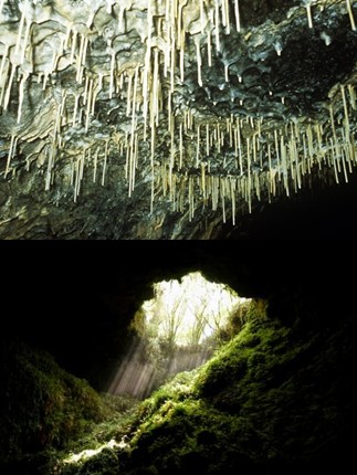 제주도여행코스추천&#44; 제주도갈만한곳 - 한림 용암동굴지대(소천굴&#44; 황금굴&#44; 협재굴&#44; 쌍용굴)&#44; 월령리 선인장 군락&#44; 명월대&#44; 비양도 호니토&#44; 금능 해수욕장&#44;한림공원&#44;이시돌목장