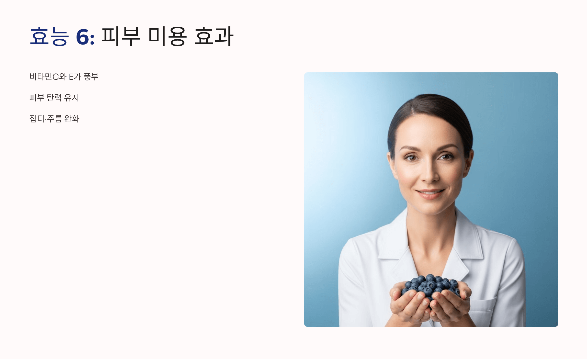 블루베리 사진입니다.