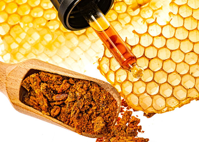 스포이드에 들어있는 프로폴리스와 벌집