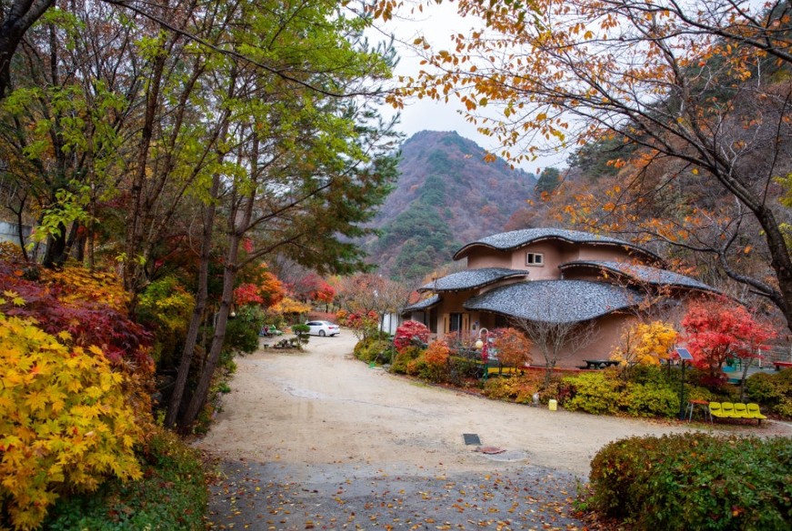 강원도 인제 방태산 자연휴양림