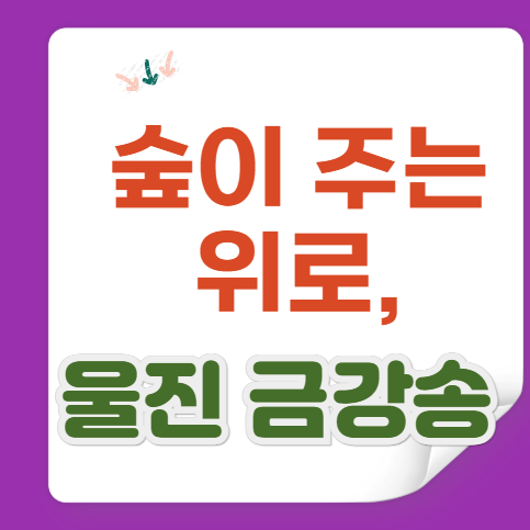 울진 금강송 숲길 — 깊은 숲에서 마음의 숨을 고르다