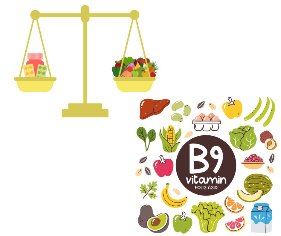 엽산이 많은 음식