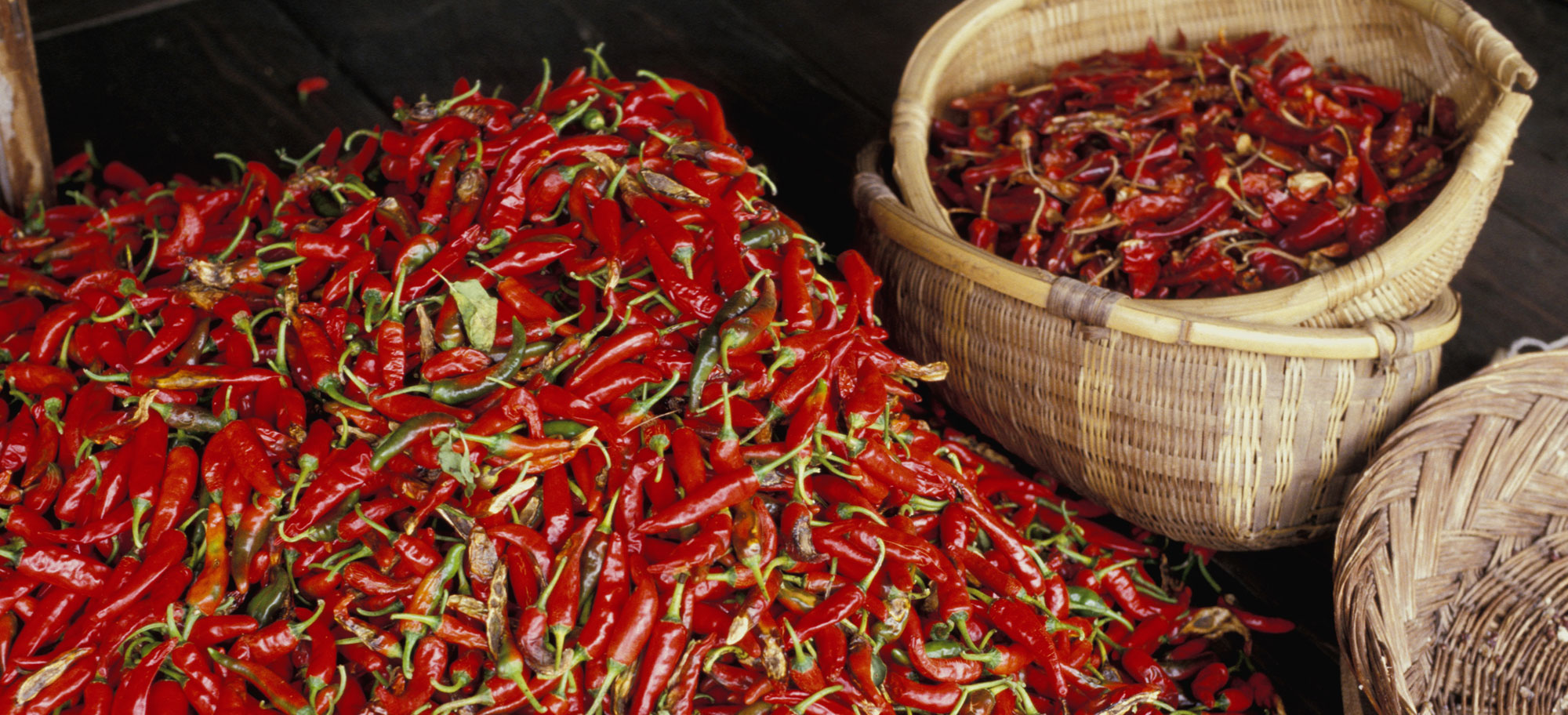 고창 해풍고추축제