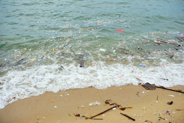 열대 바다, 말레이시아의 해변에 오염.