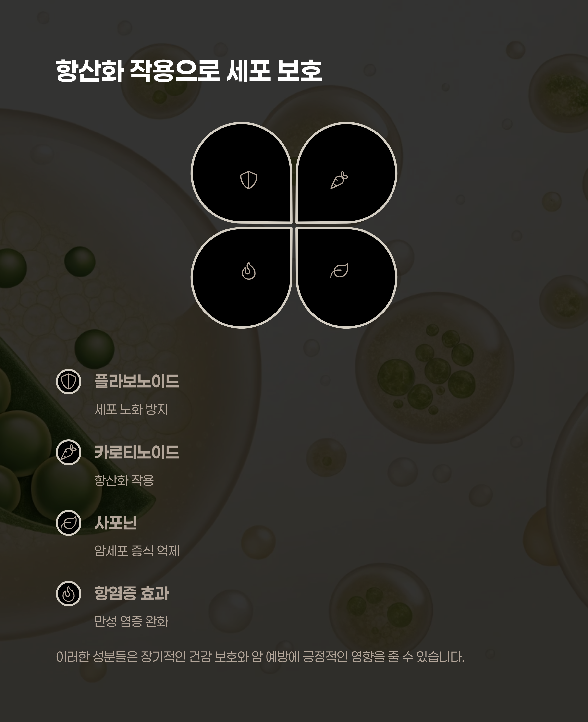 항산화 작용과 암 예방 가능성