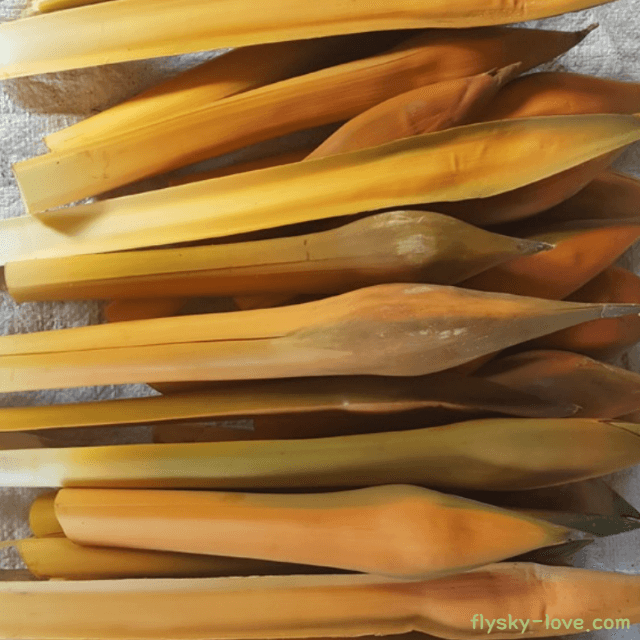 해죽순 먹는 방법