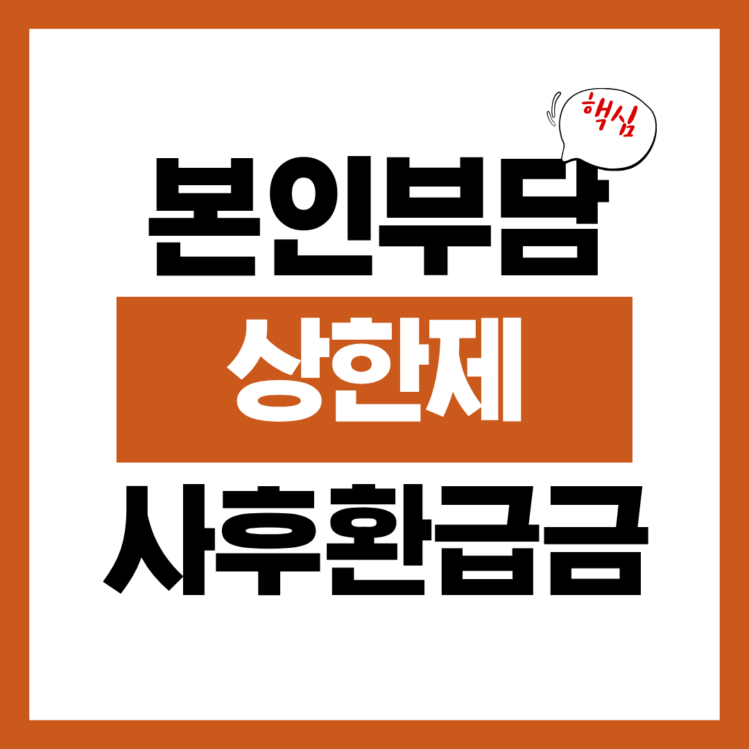 본인부담상한제 사후환급금 지급일과 신청자격 신청방법 알아보고 바로 신청하기