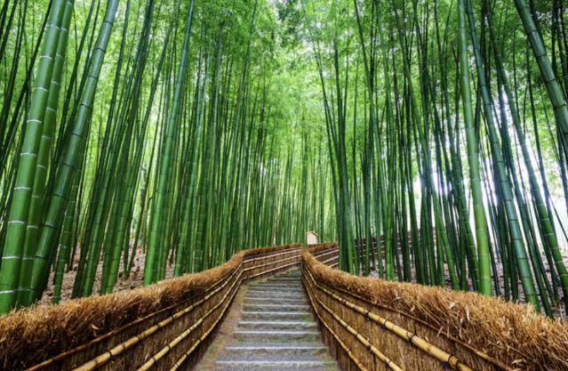 2024년 1월 트립닷컴 할인코드 위클리 힐링 호캉스 프로모션