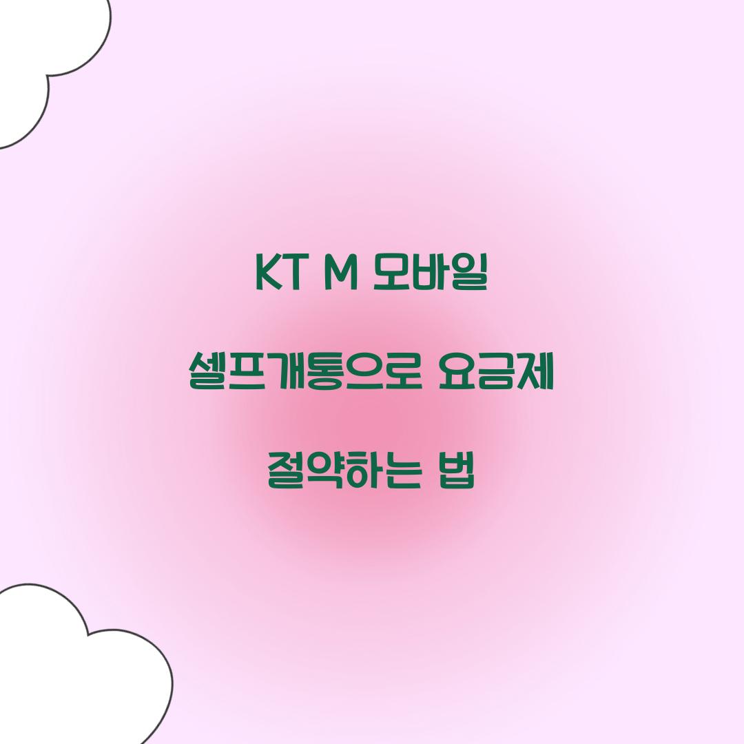 KT M 모바일 셀프개통