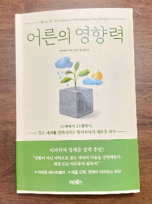 책 소개_어른의 영향력