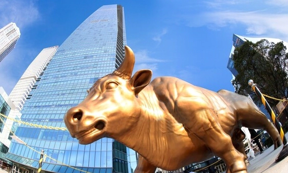 디앤디파마텍 공모주 수요예측 상장 일정