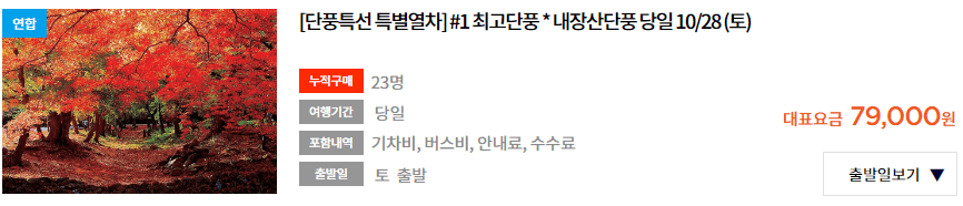 기차여행 단풍특선 추천