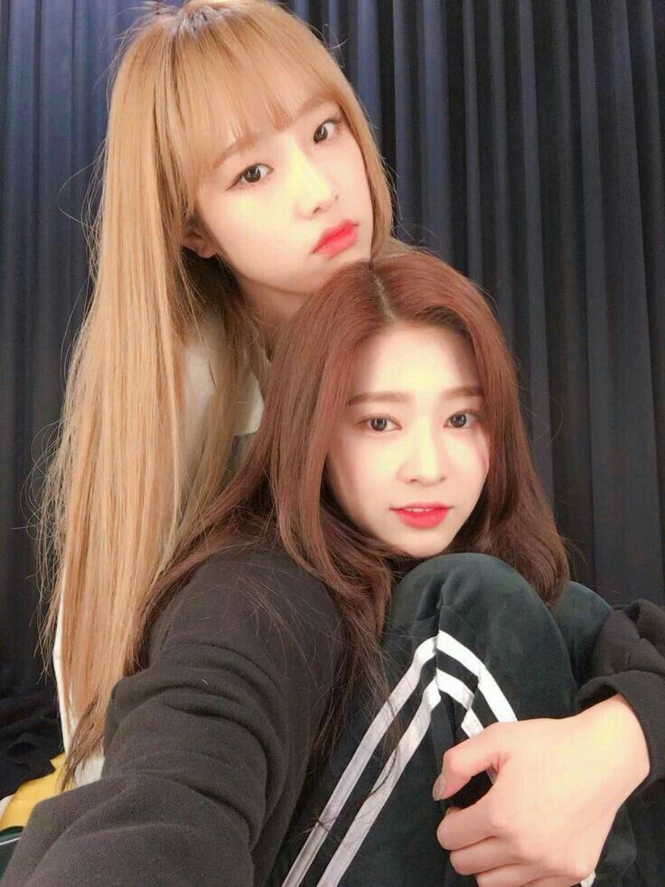 아이즈원 프로듀스48 사진 모음
