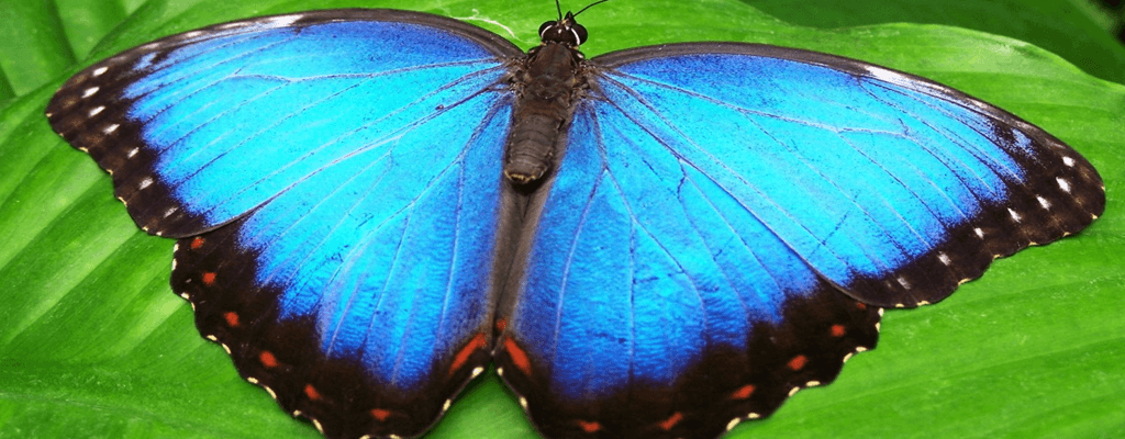 [색채심리학] 파란색: 긍정적/부정적 효과, 어울리는 곳