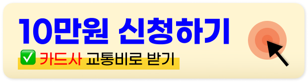 서울 청년 대중교통비