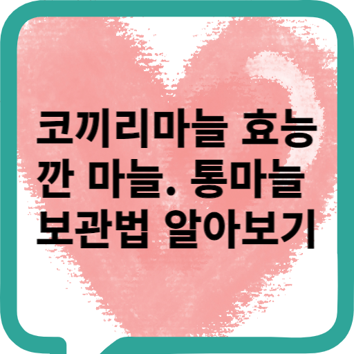 코끼리 마늘 효능 깐 마늘 통마늘 보관법