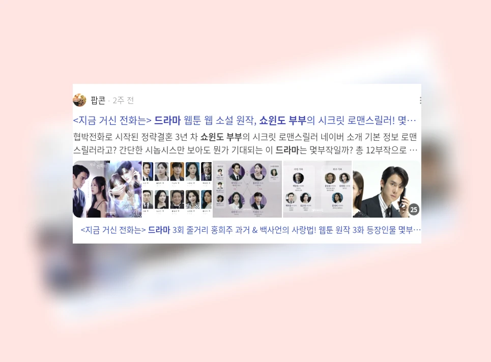 쇼윈도 부부 드라마_3_subsection
