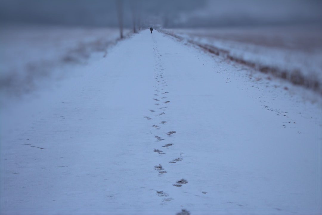 Step tracker.