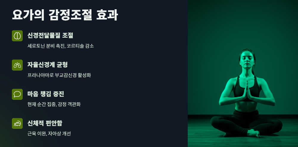 요가의 감정 조절 효과
