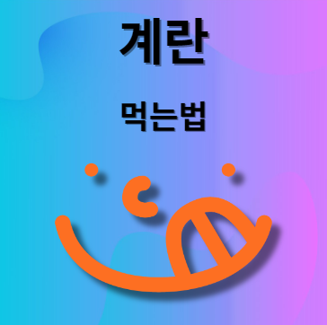 계란 먹는법