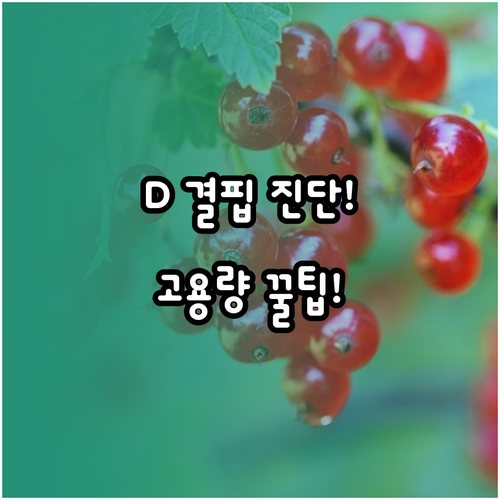 비타민 D 혈중 25(OH)D 진단과..