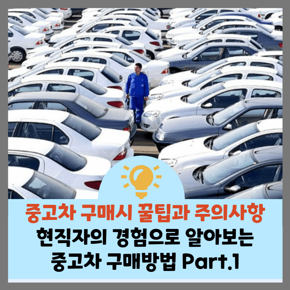 중고차-구매시-유의사항
