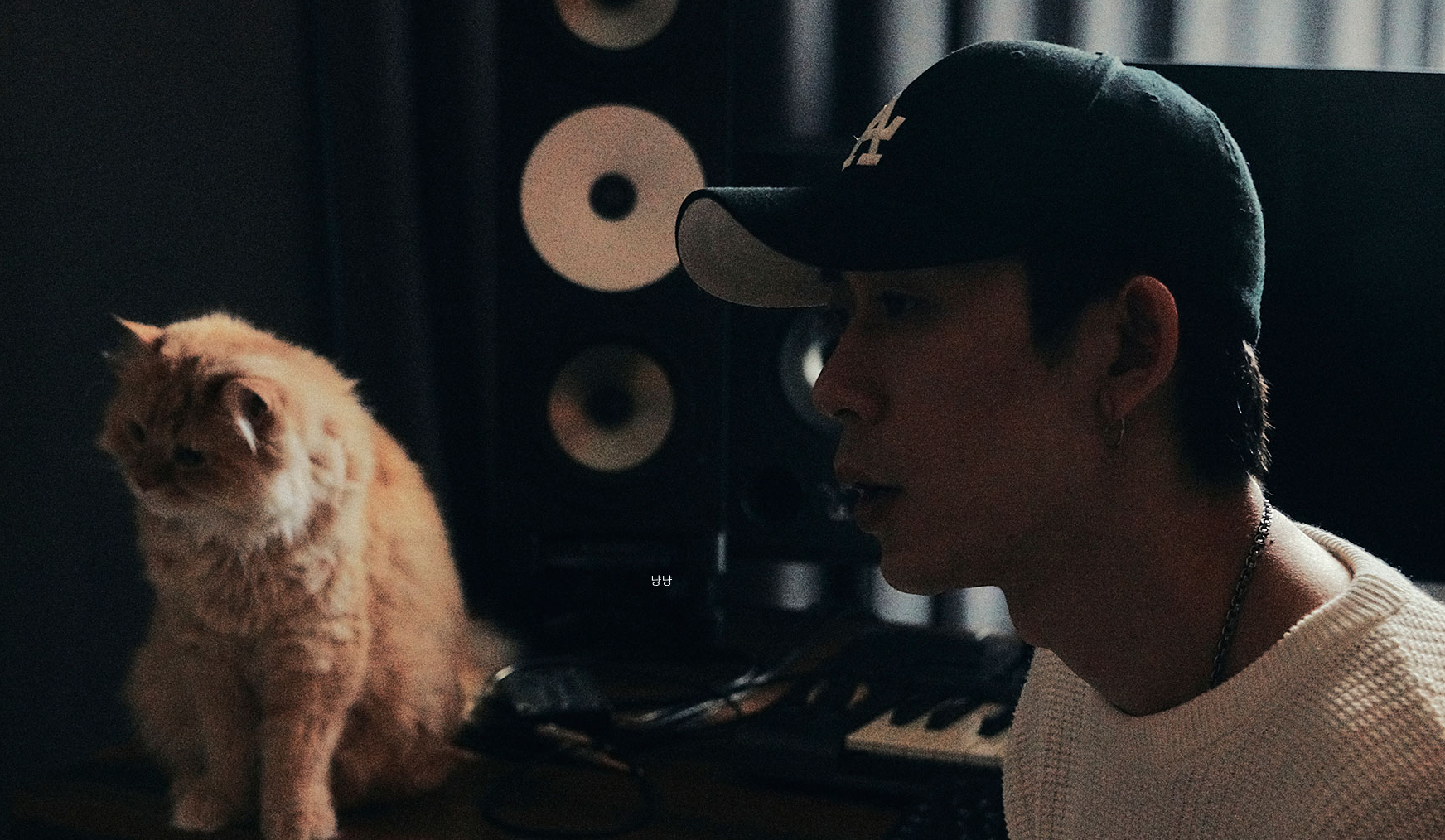 코드 쿤스트 고양이