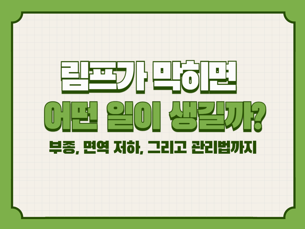 림프가 막히면 어떤 일이 생길까? – 부종, 면역 저하, 그리고 관리법까지