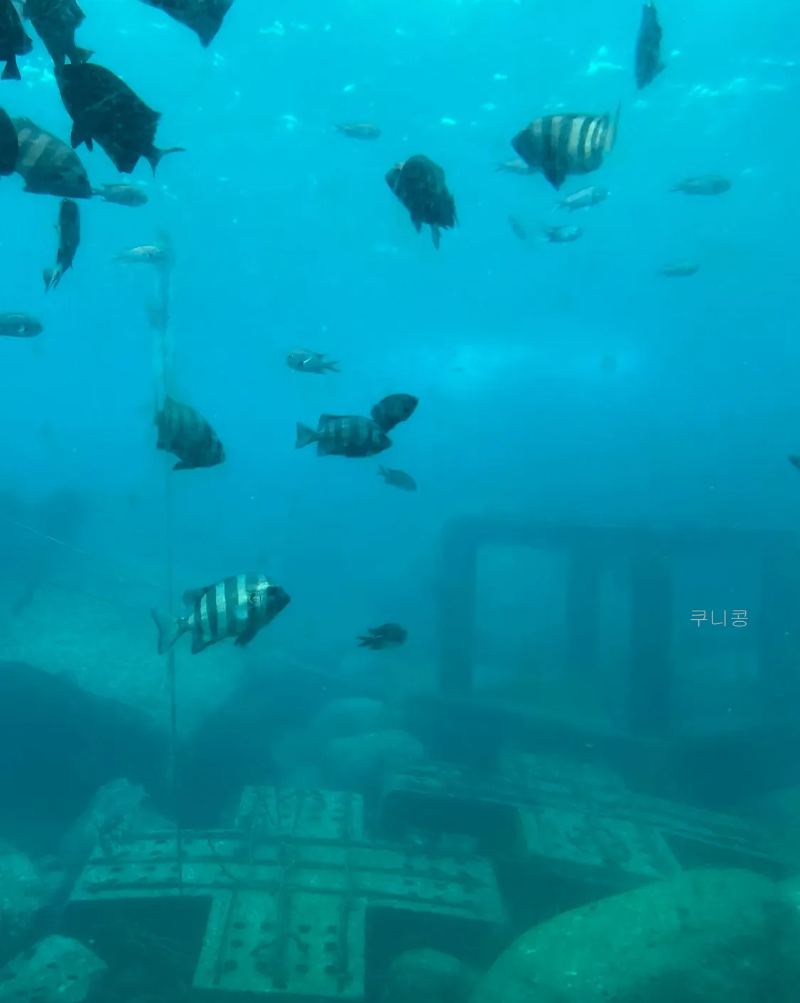 부모님-모시고-국내-가족여행-2박3일-일정-및-경비-정리