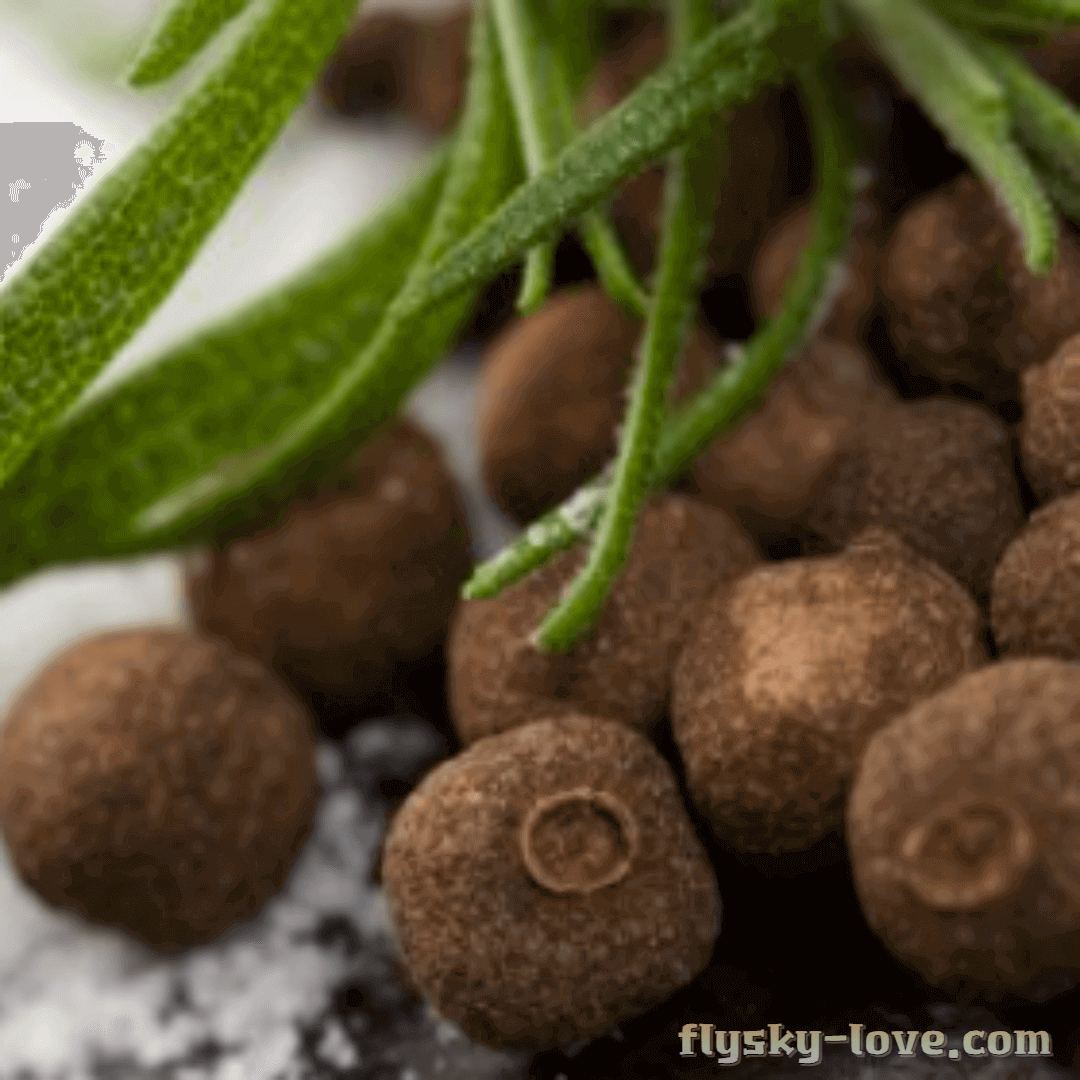 올스파이스 효능