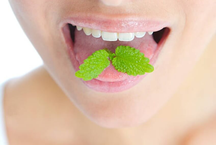 입냄새 심한이유 입냄새 심한 이유 입냄새 제거방법 입냄새 원인 입냄새 맡는방법