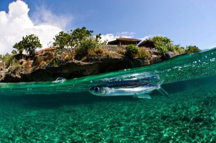 인도네시아 발리 여행