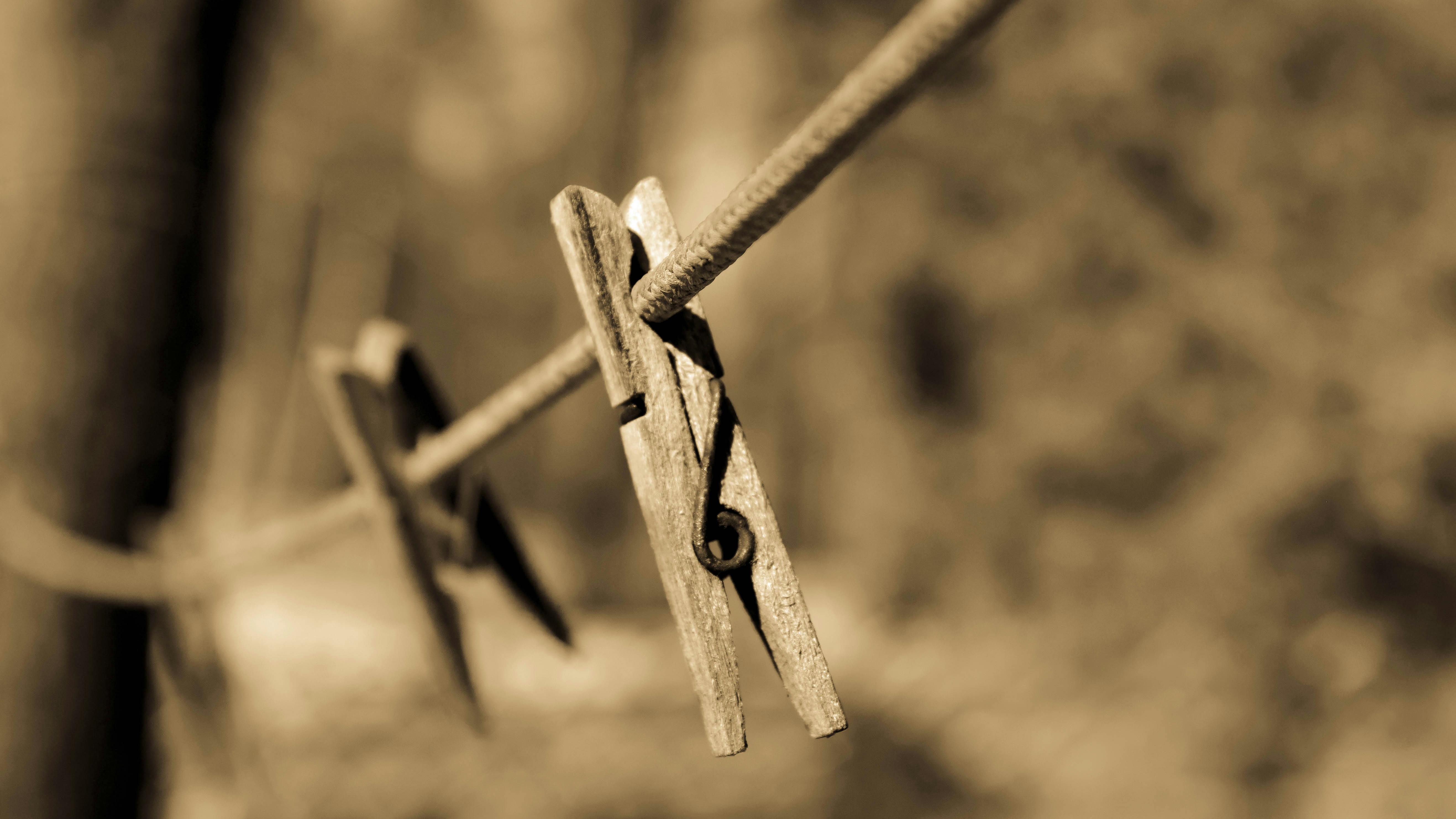 크린토피아 세탁가격 및 영업시간 할인요일 블랙라벨 운동화 세탁가격