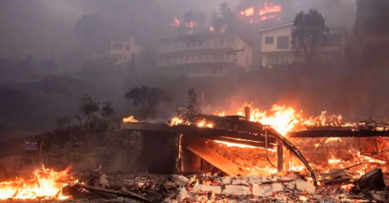 LA 산불과 경북산불의 비교