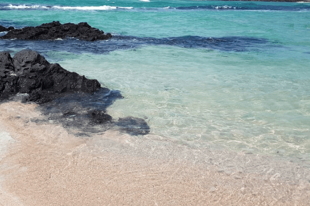 곽지해수욕장해변