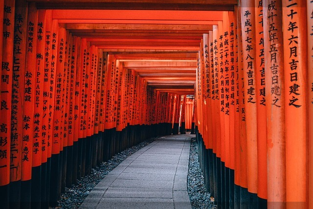 비짓재팬 웹에서 동반 가족 등록하는 방법 – 단계별 가이드