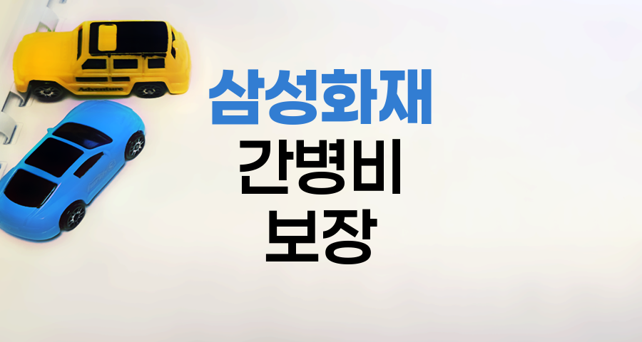 삼성화재 자동차보험의 간병비 보장