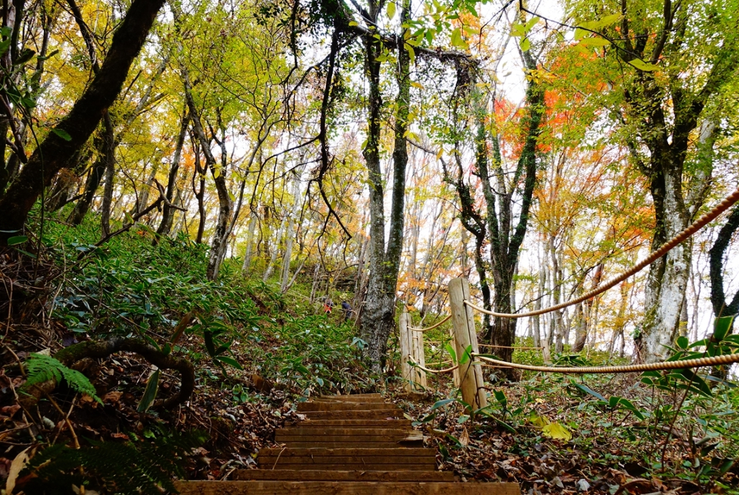 가을여행/11월/제주/감성/여행지
