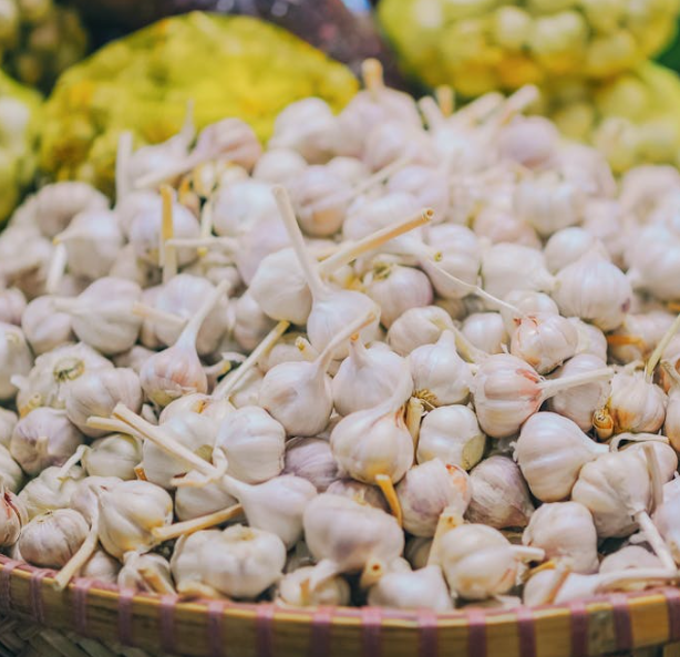 신장에 좋은 음식