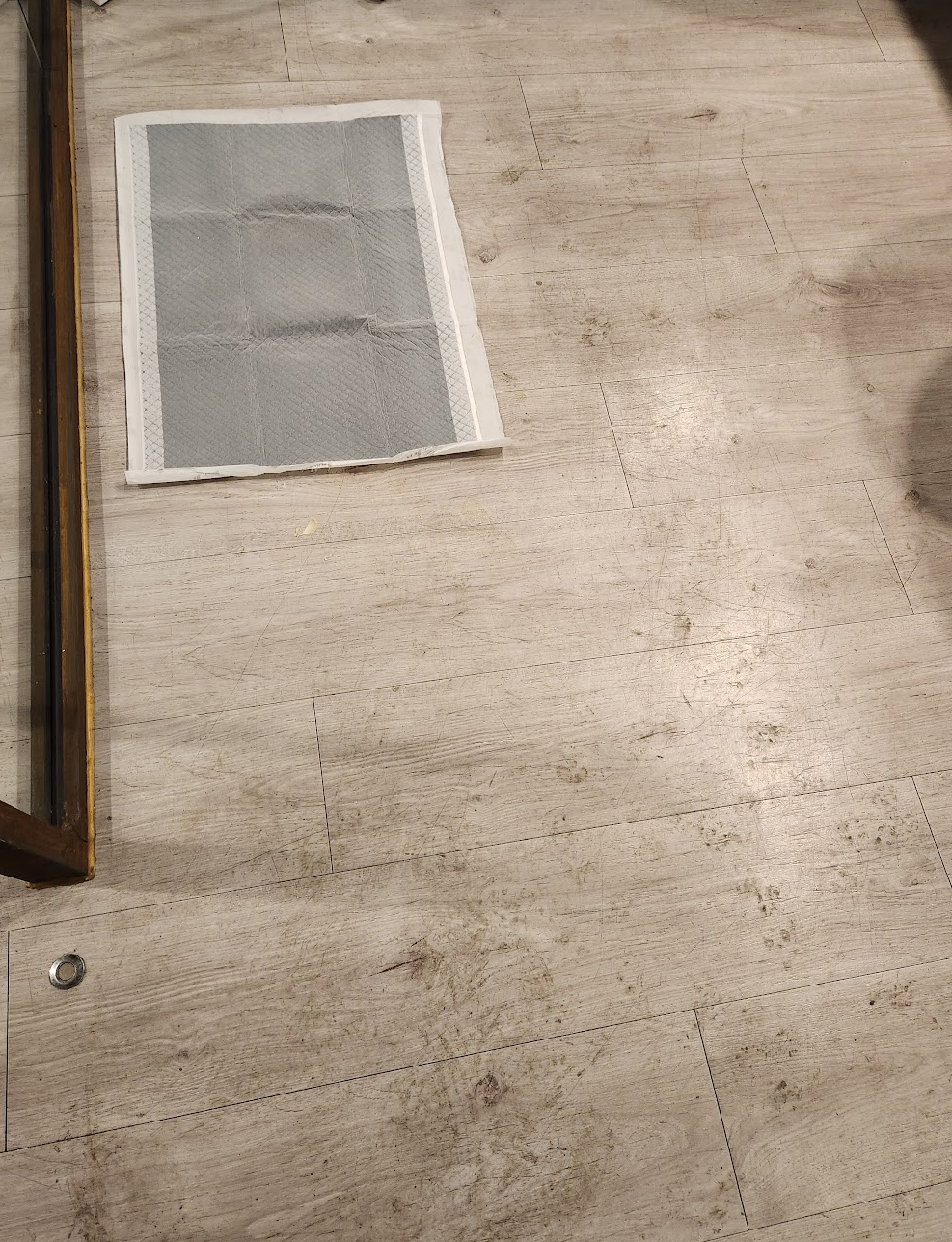 고양이 배변패드