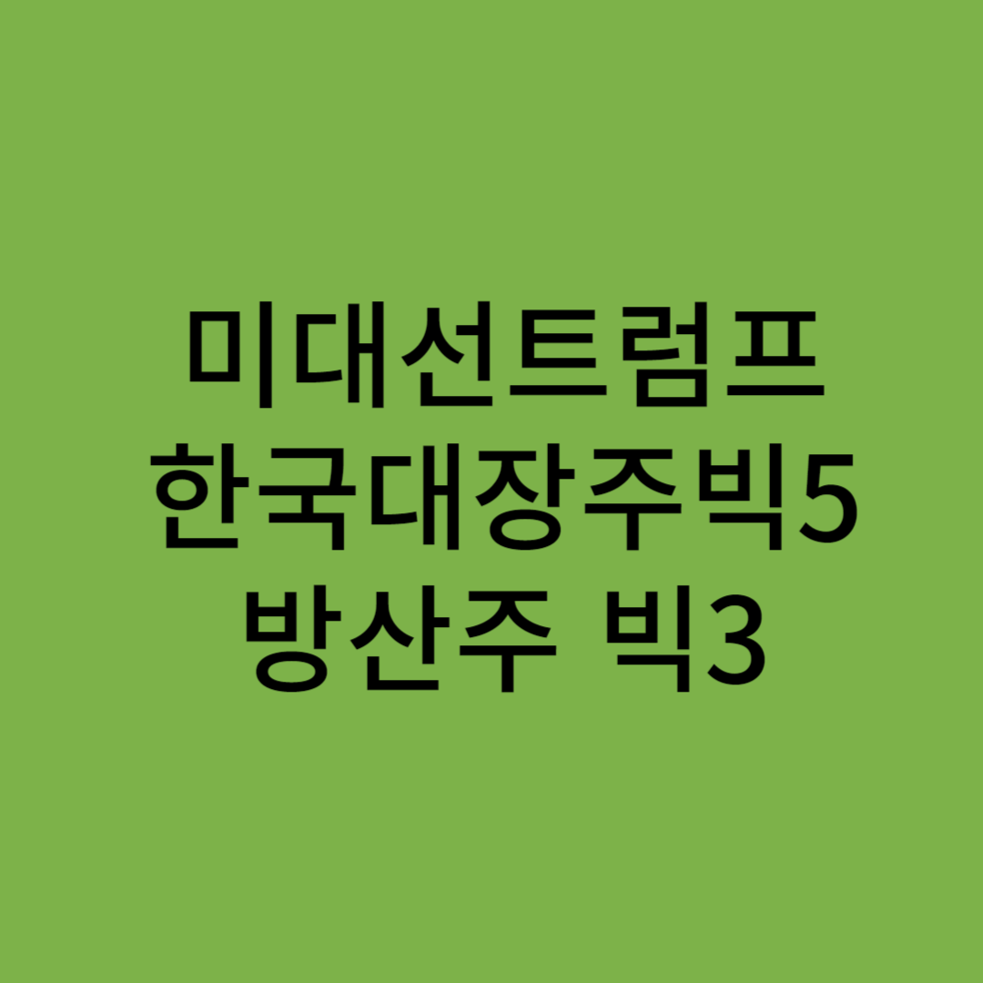트럼프 관련 대장 주식