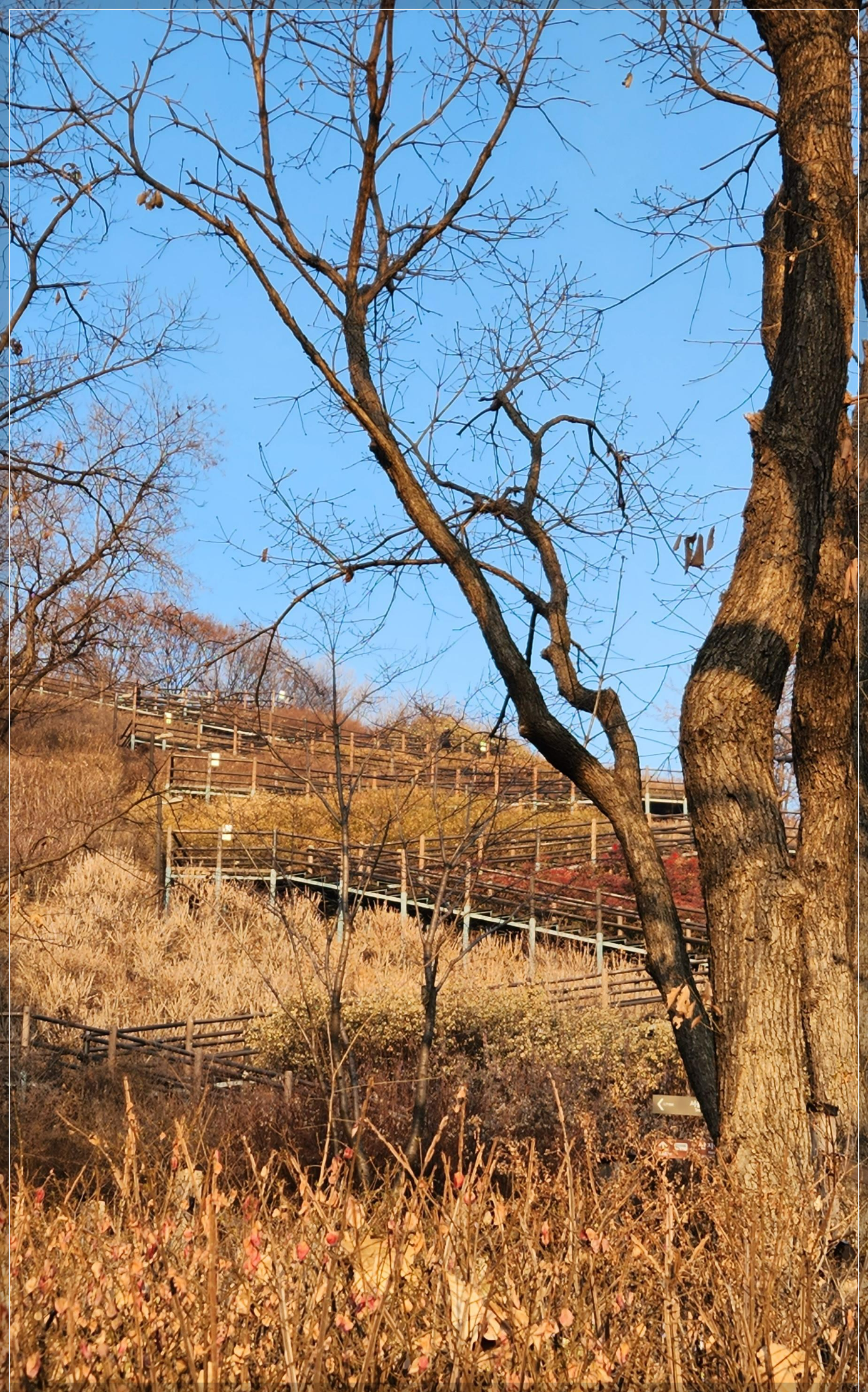 하늘공원 (마포) 새해 일출 해돋이 주차