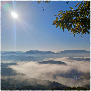구봉산