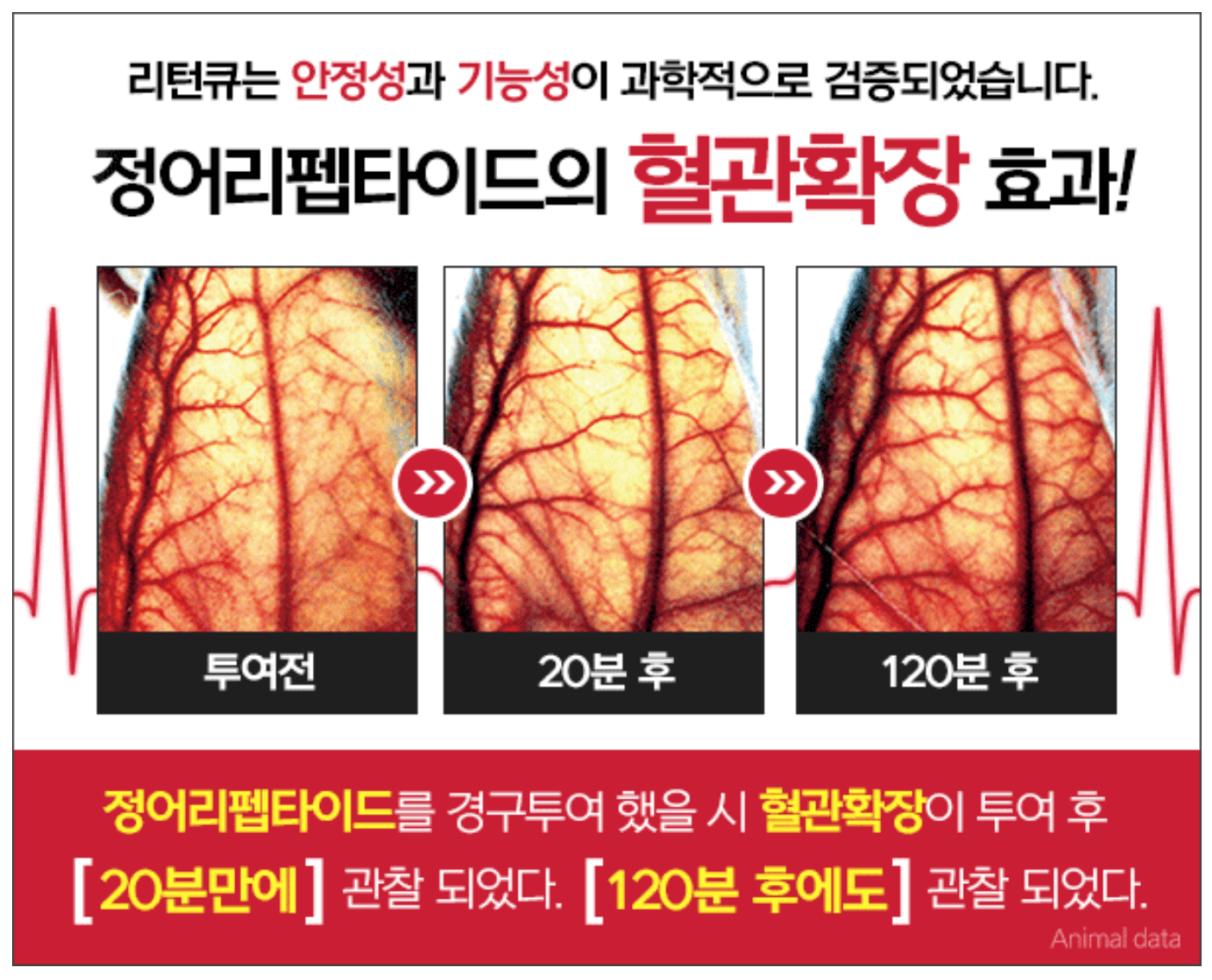 정어리펩타이드-효과