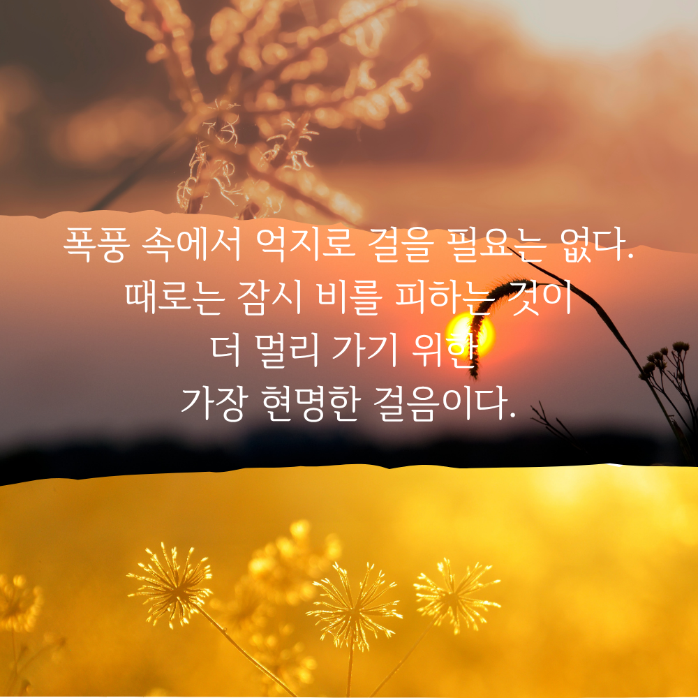 짧은 명언 인생 조언 글귀 밤에 잠자기 전 보기 좋은 문구 이미지