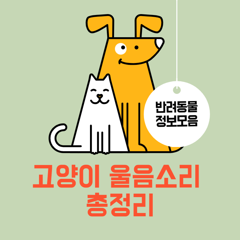 고양이-울음소리-총정리-썸네일