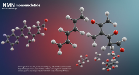 NMN(니코틴아마이드 모노뉴클레오타이드)