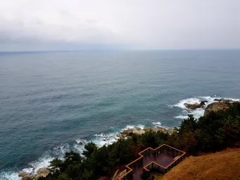 영천 가볼만한곳 베스트10 기억에 남을 멋진 명소 추천_16