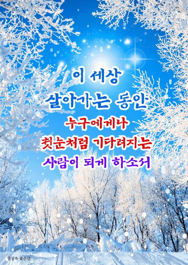 눈 덮인 나무와 파란 하늘 아래 새하얀 겨울풍경 위에 따뜻한 문구가 더해진 이미지