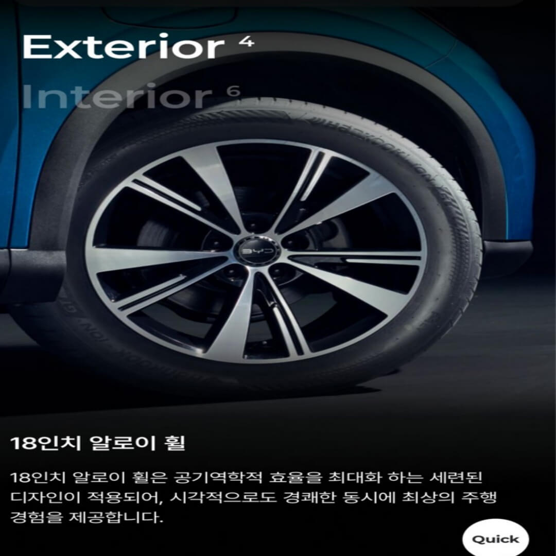 BYD 전기차 패밀리카